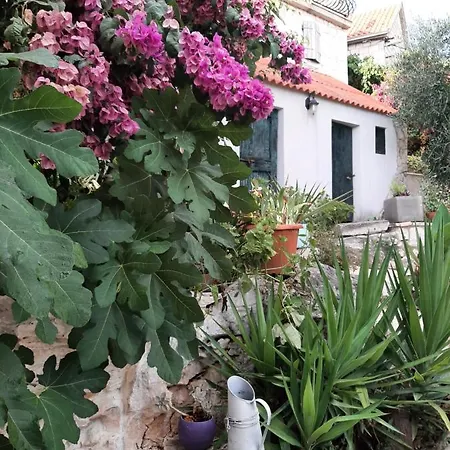 Lipoto Tatil Evi Donji Okrug (Ciovo)